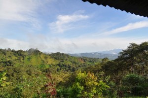 Farmland in the cloud forest 