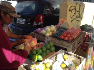 A woman sells fruits and vegetables near a bus station in the northern part of Quito